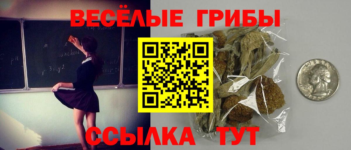 Галлюциногенные грибы мицелий Владикавказ